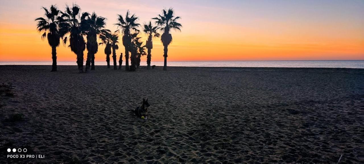 Encantador Apto En La Playa Coma-ruga Exteriör bild