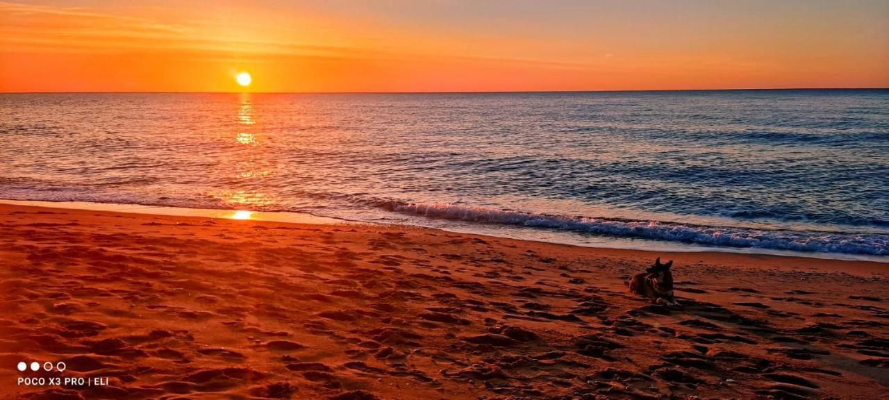 Encantador Apto En La Playa Coma-ruga Exteriör bild